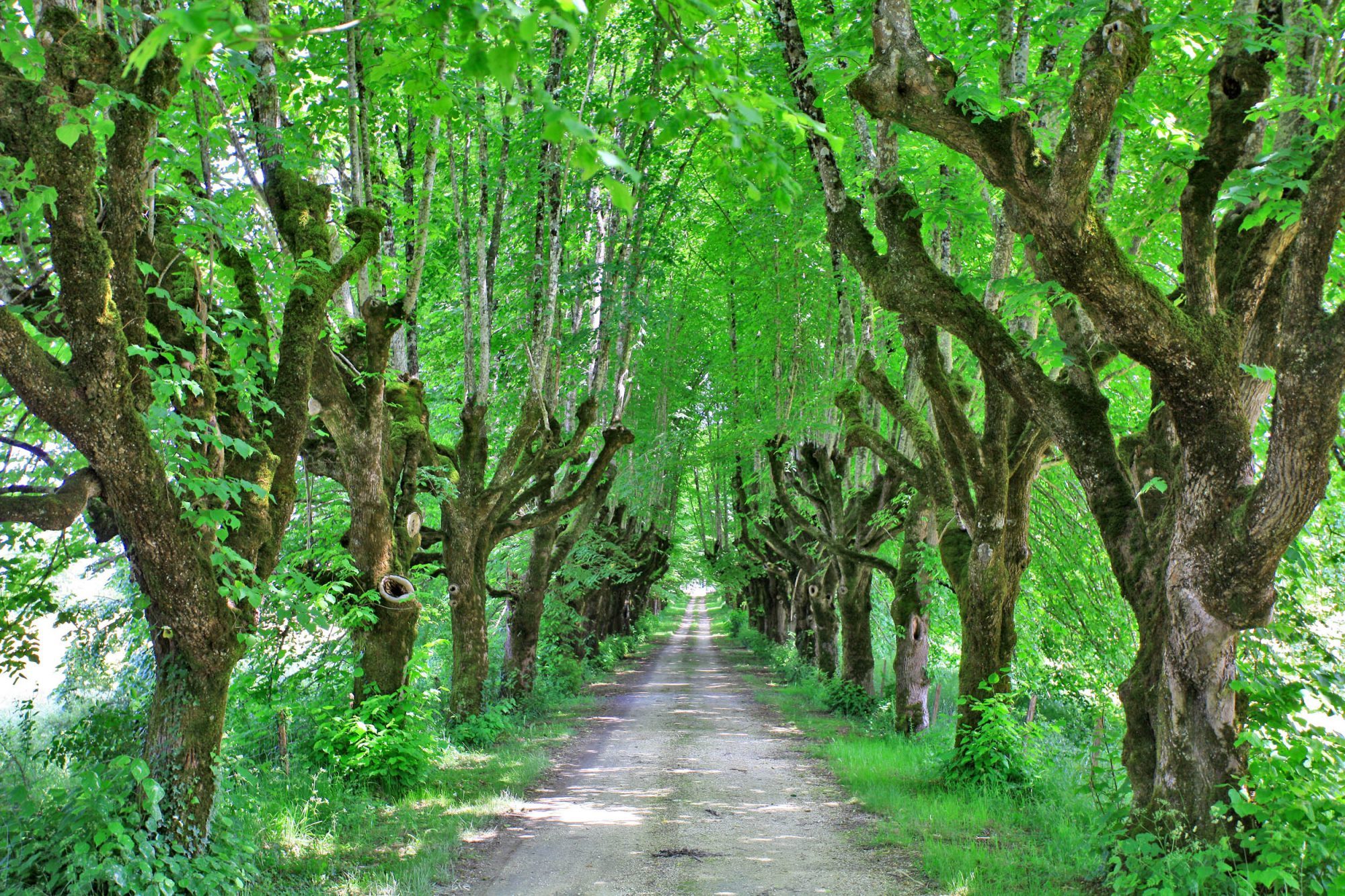 Property for sale in France