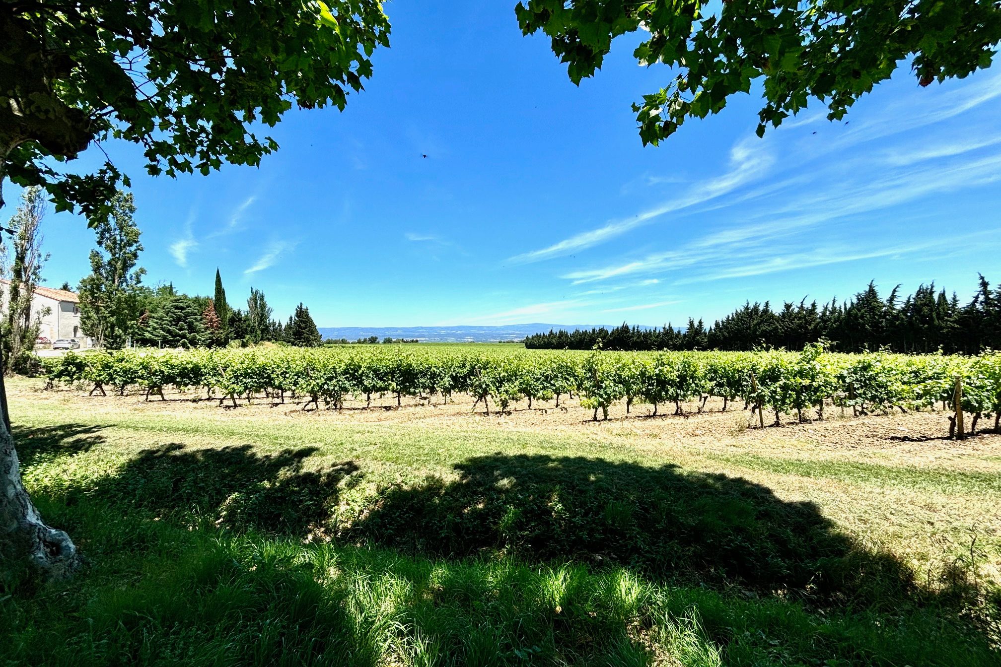 Property for sale in France