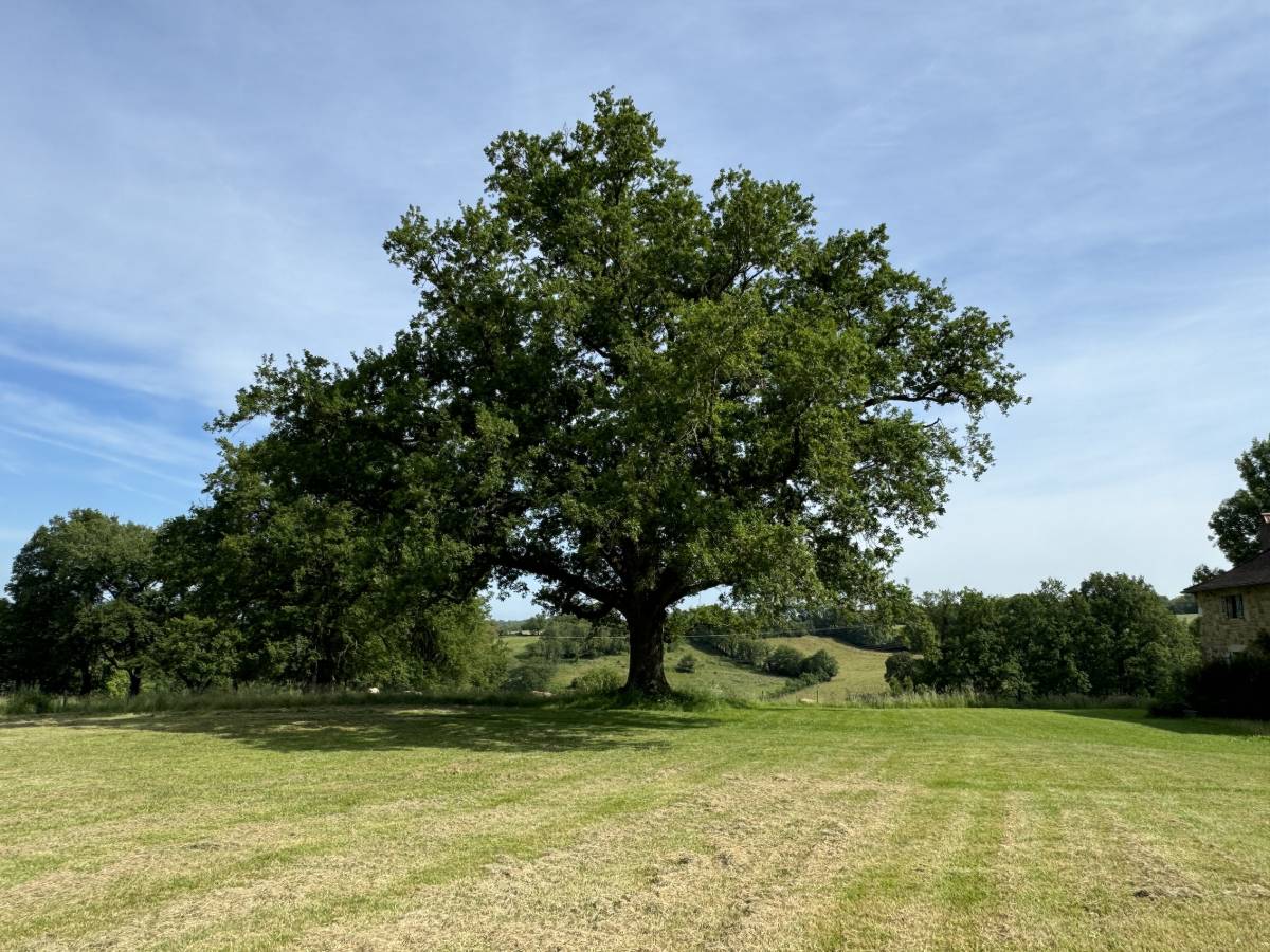 Property for sale in France