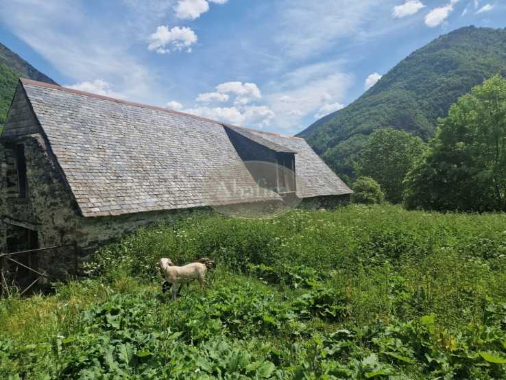 Property for sale in France