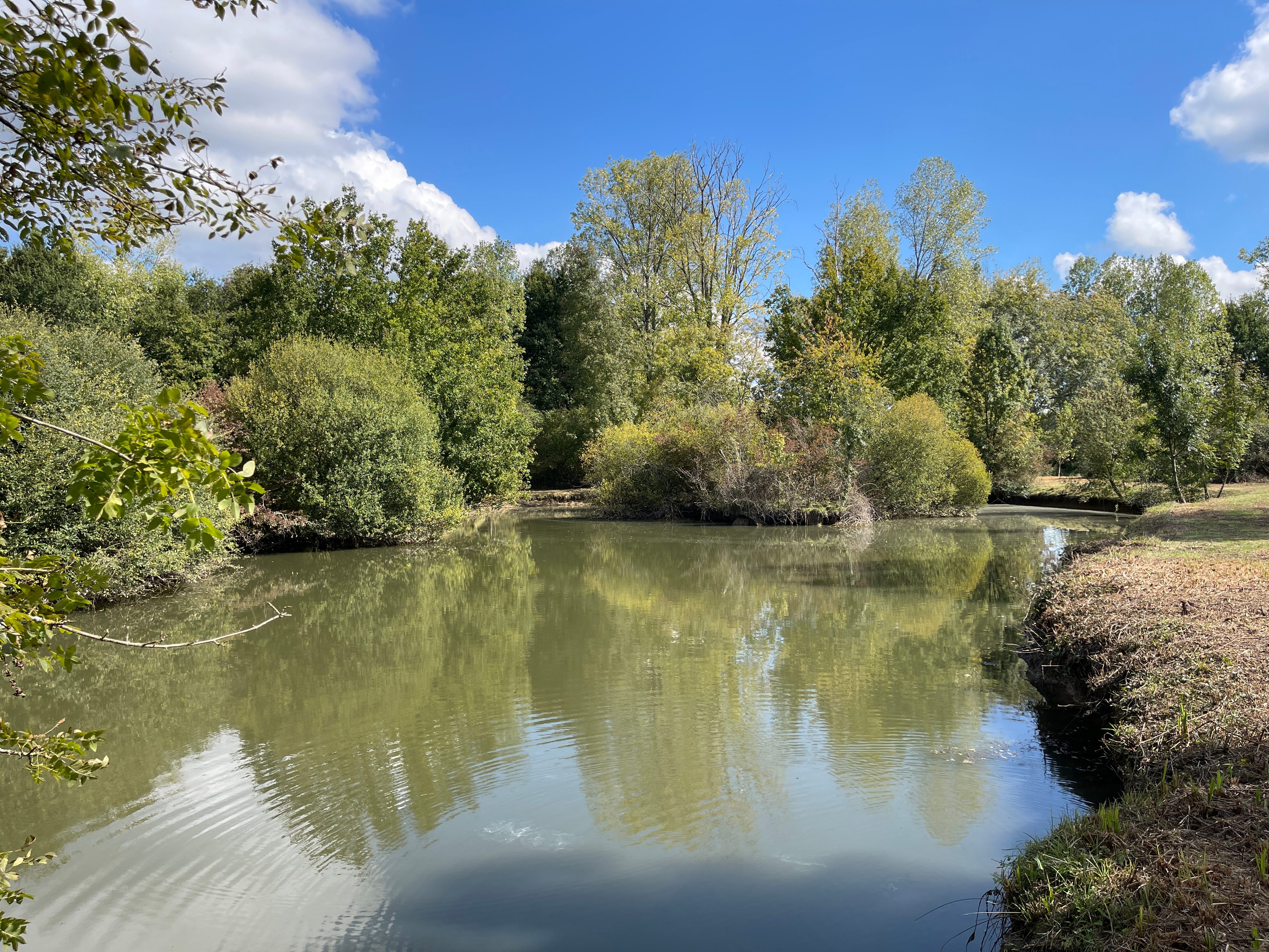 Property for sale in France