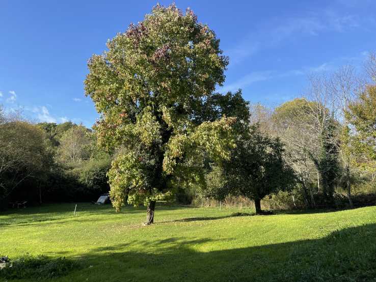 Property for sale in France