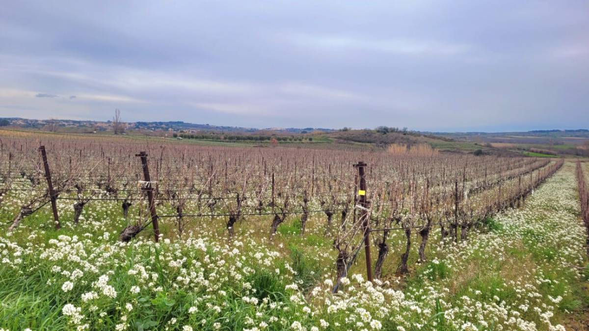 Property for sale in France