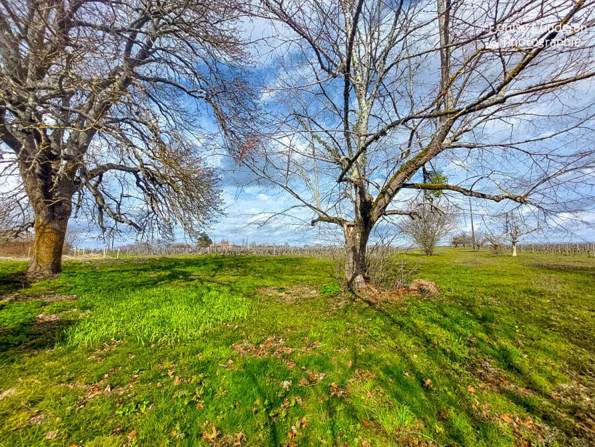 Property for sale in France