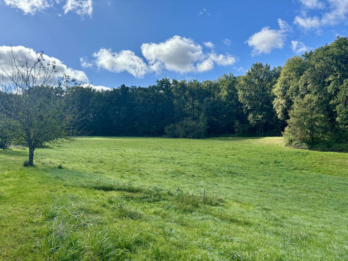 Property for sale in France