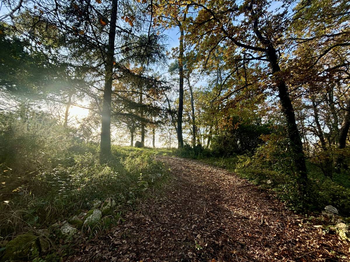 Property for sale in France