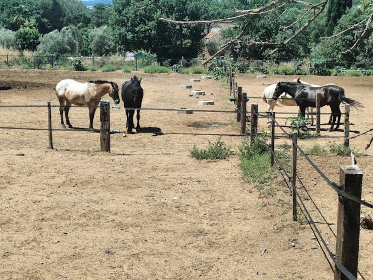 Property for sale in France