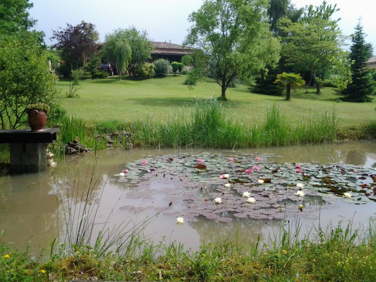 Property for sale in France