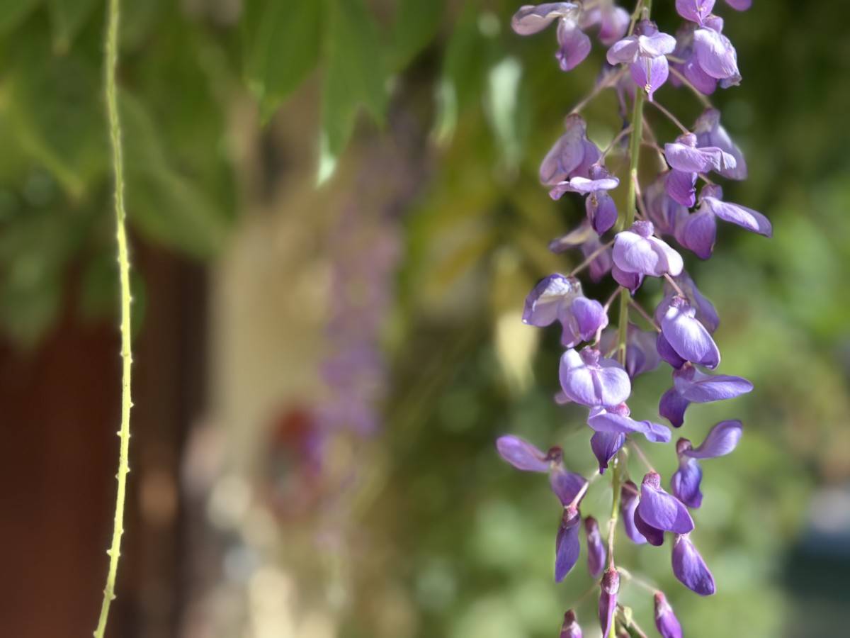 Property for sale in France