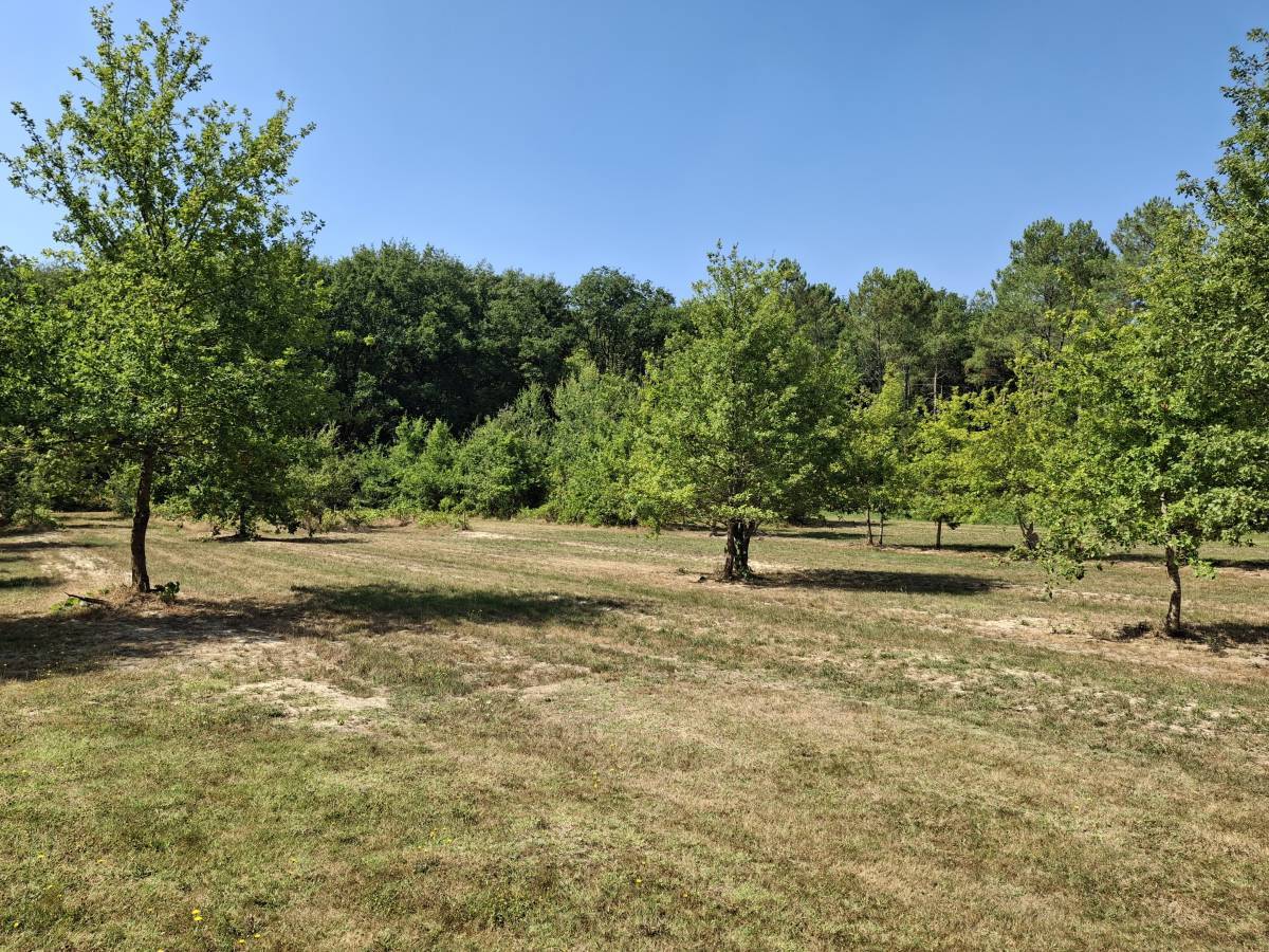 Property for sale in France