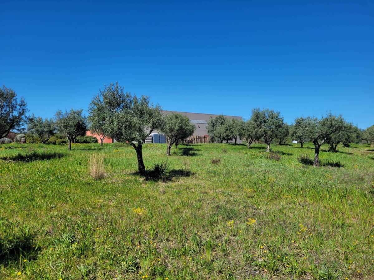 Property for sale in France