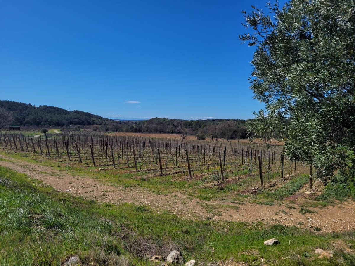 Property for sale in France