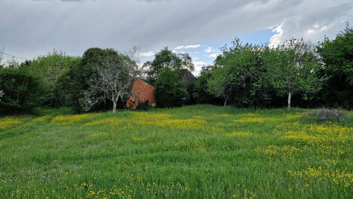 Property for sale in France