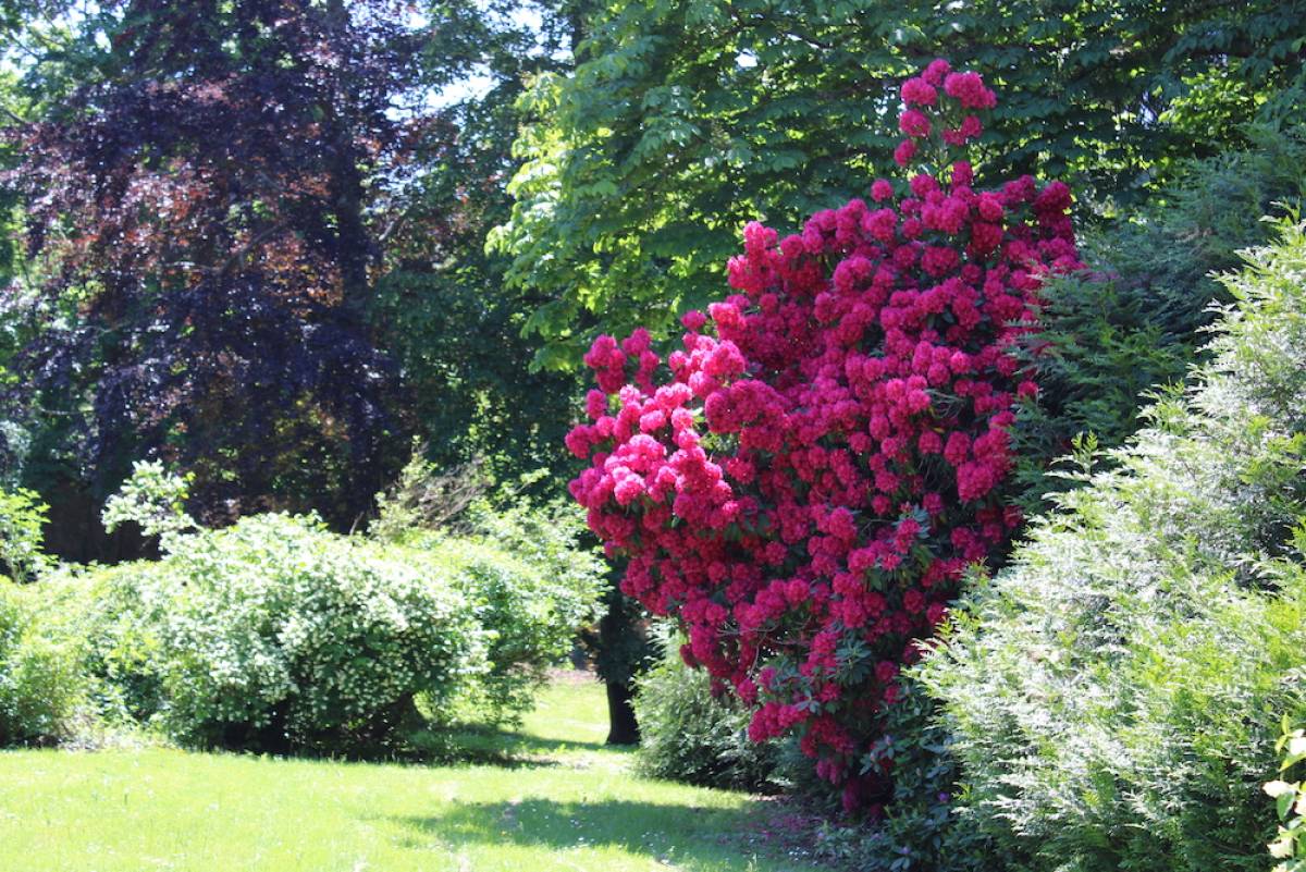 Property for sale in France