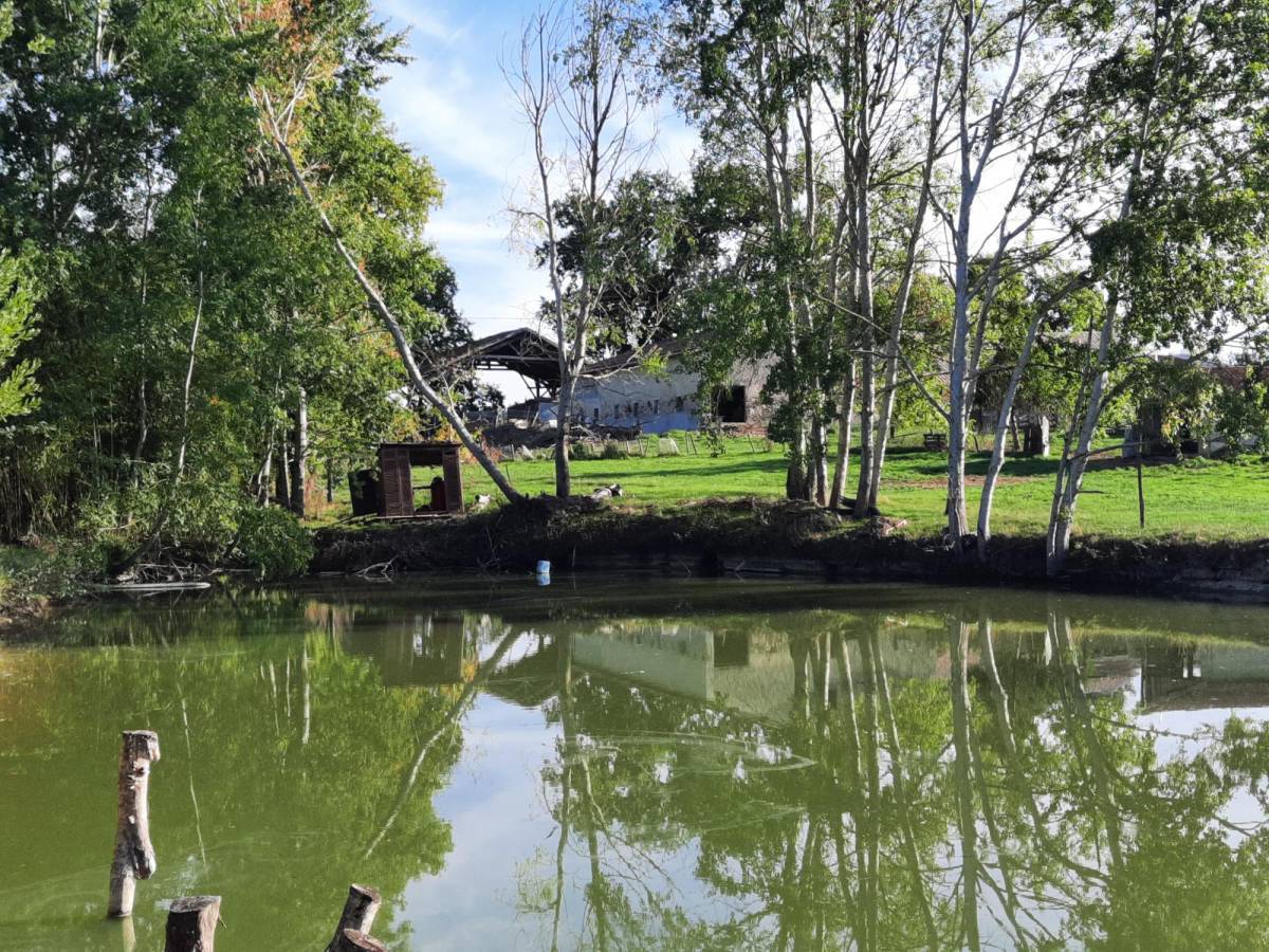 Property for sale in France