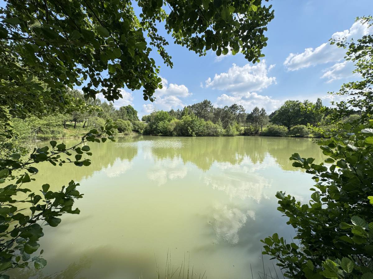 Property for sale in France