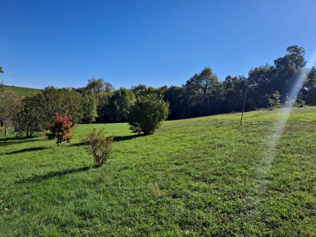 Property for sale in France