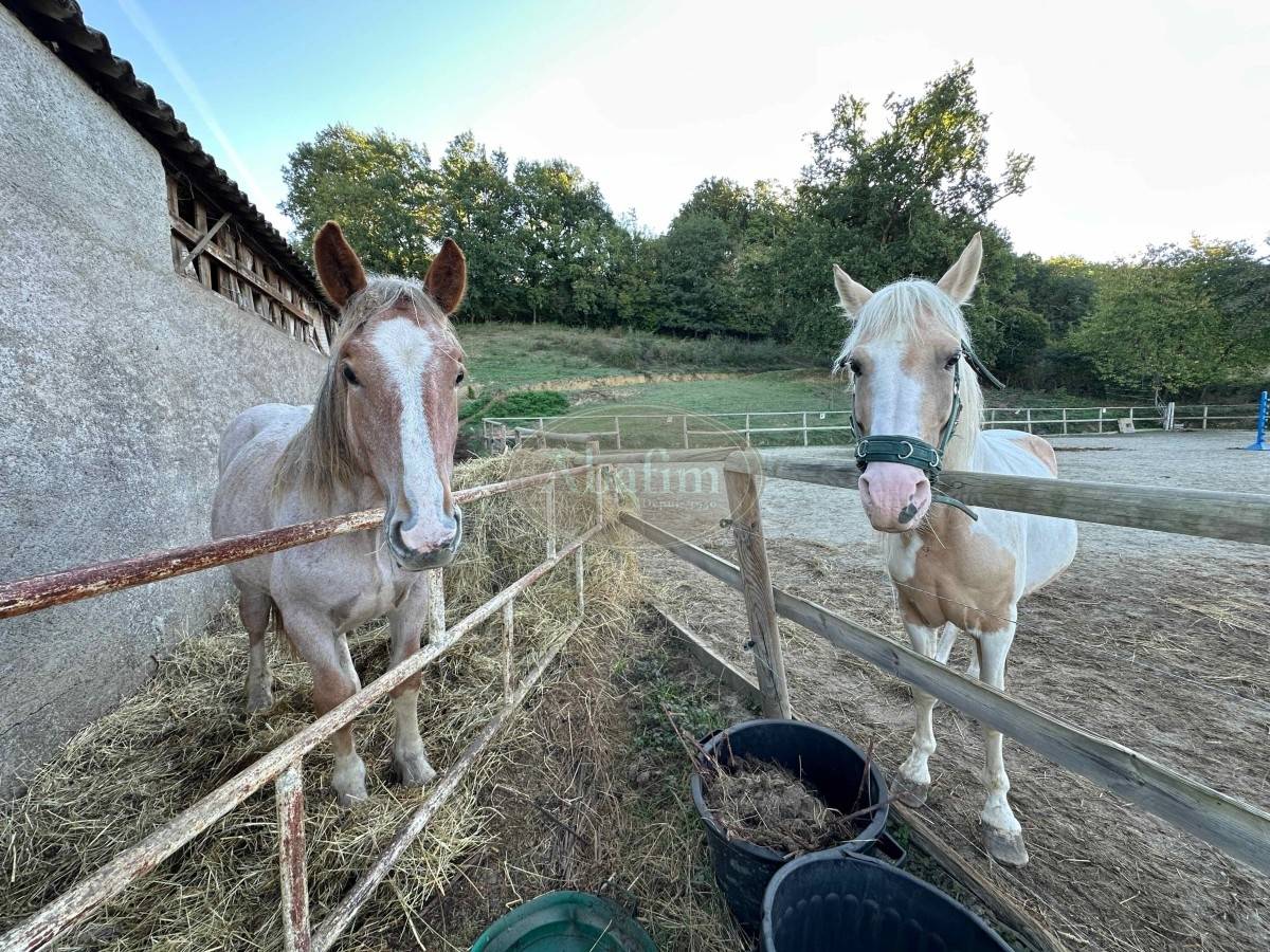 Property for sale in France