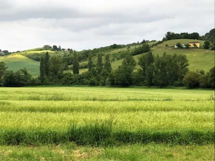 Property for sale in France