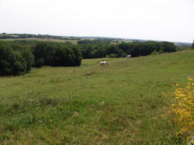 Property for sale in France