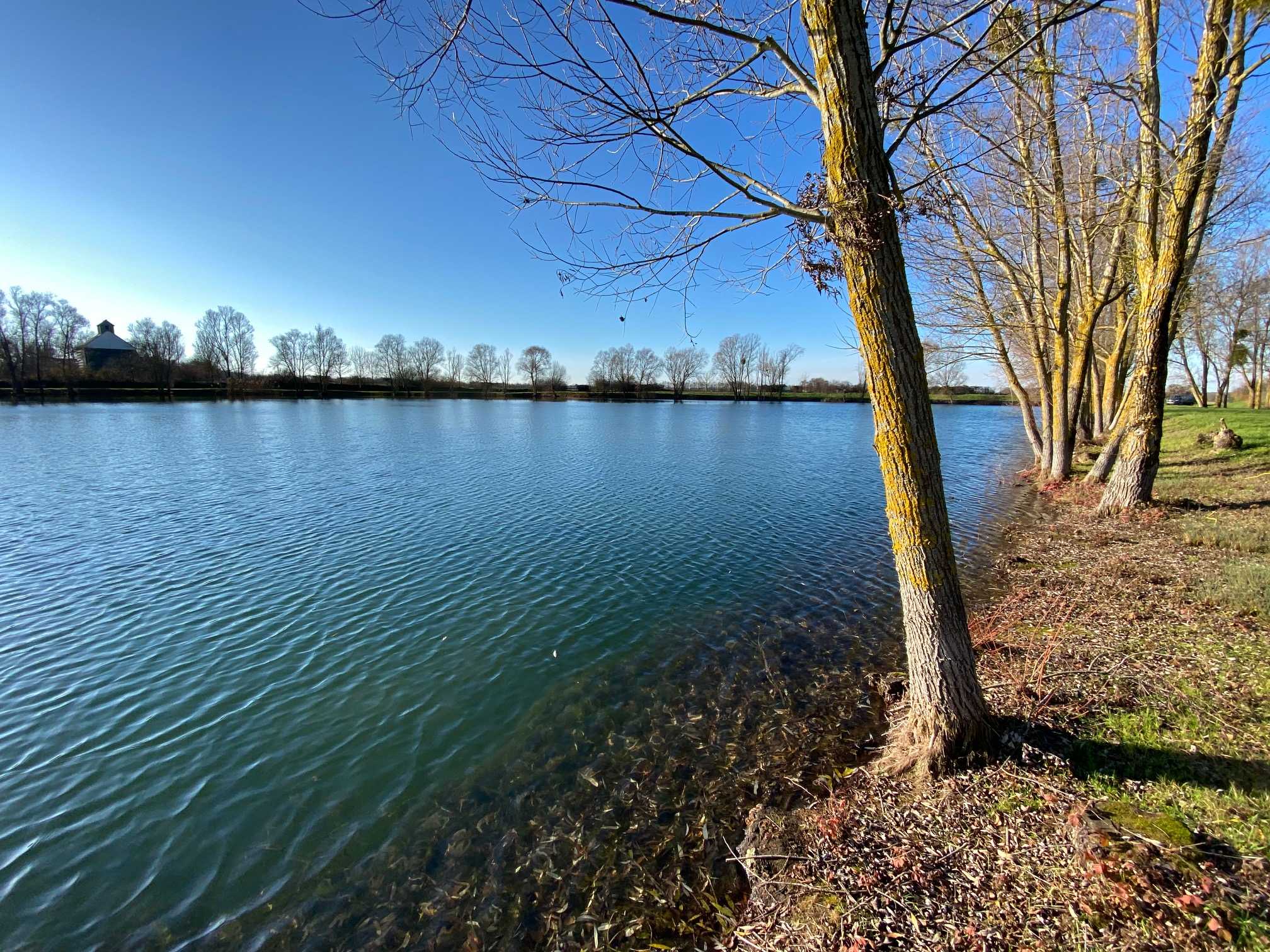 Fishing Lakes And Lac Properties For Sale In France