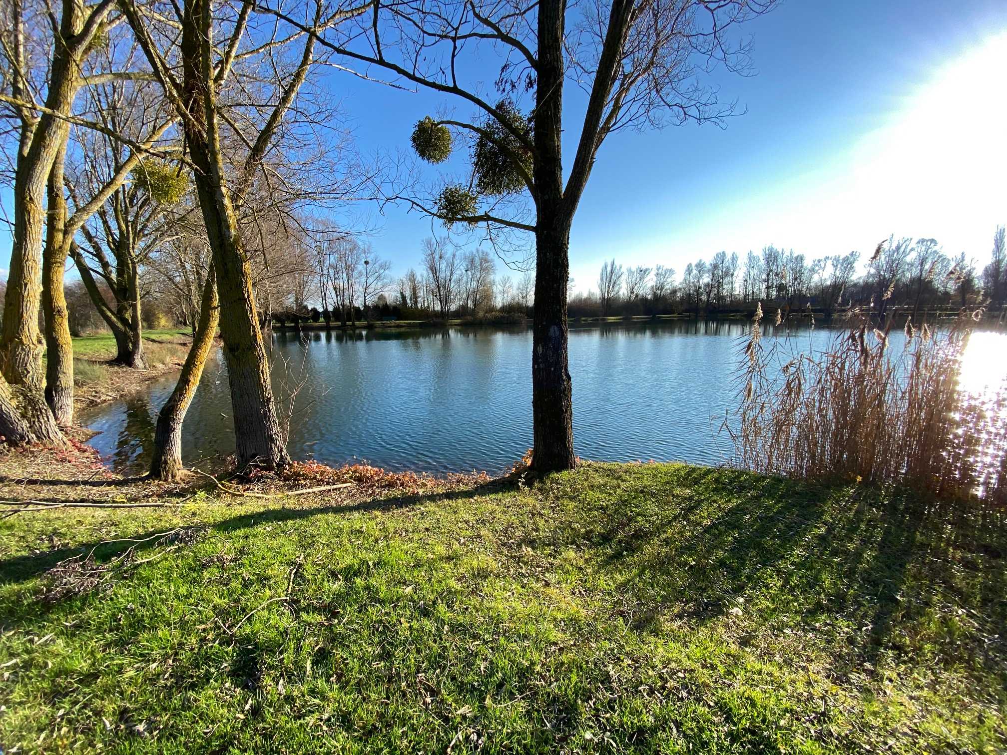 Fishing Lakes and Lac Properties for sale in France