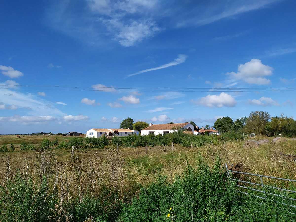 farms-and-rural-properties-with-land-for-sale-in-france-my-french-house