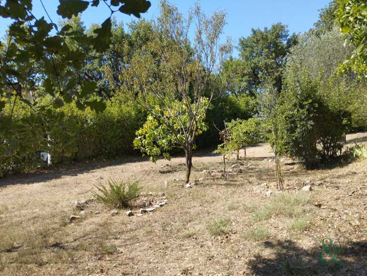 Properties and Villas for Sale in the Alpes Maritimes