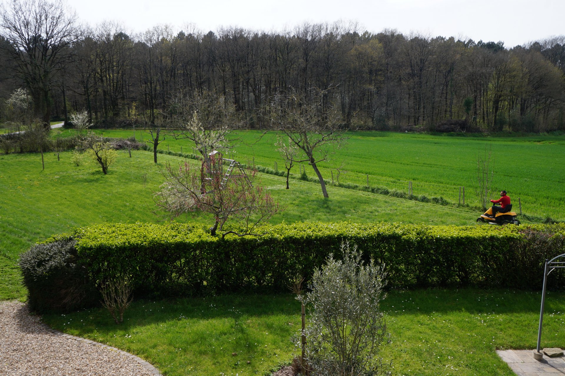 farms-and-rural-properties-with-land-for-sale-in-france-my-french-house