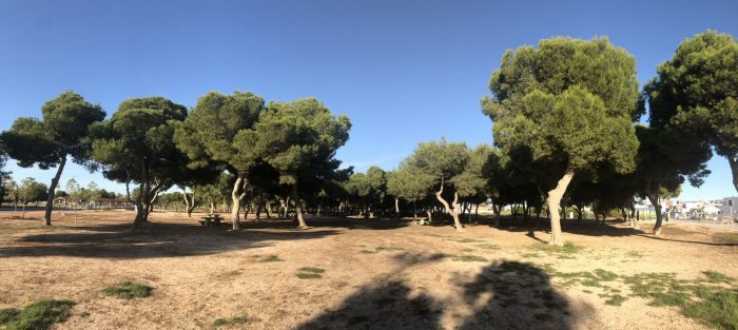 Property for sale in Spain