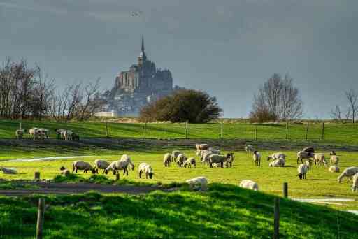 Häuser in der Normandie und Bretagne